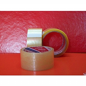 Vege ASLAN Koli Band� 45x40 (96adet)