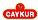 AYKUR